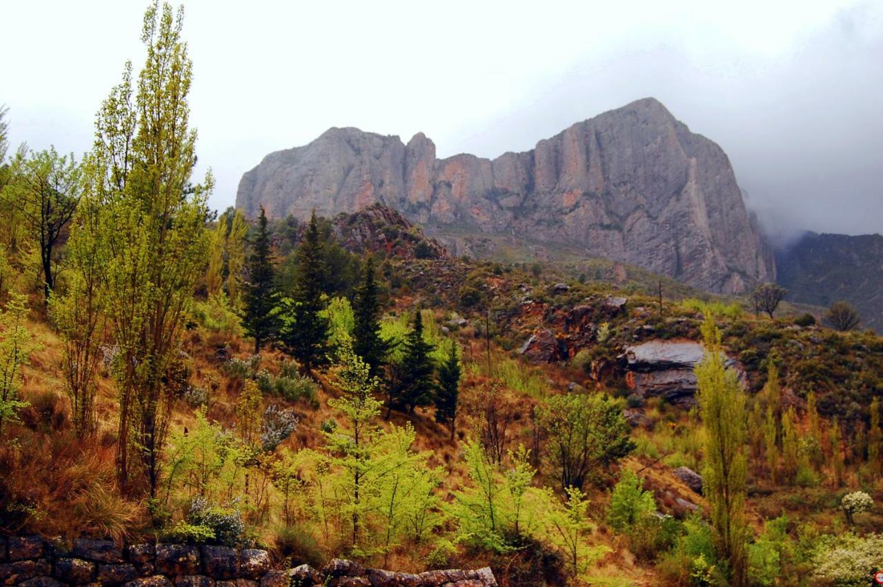 La Posada Del Arba El Frago Dış mekan fotoğraf