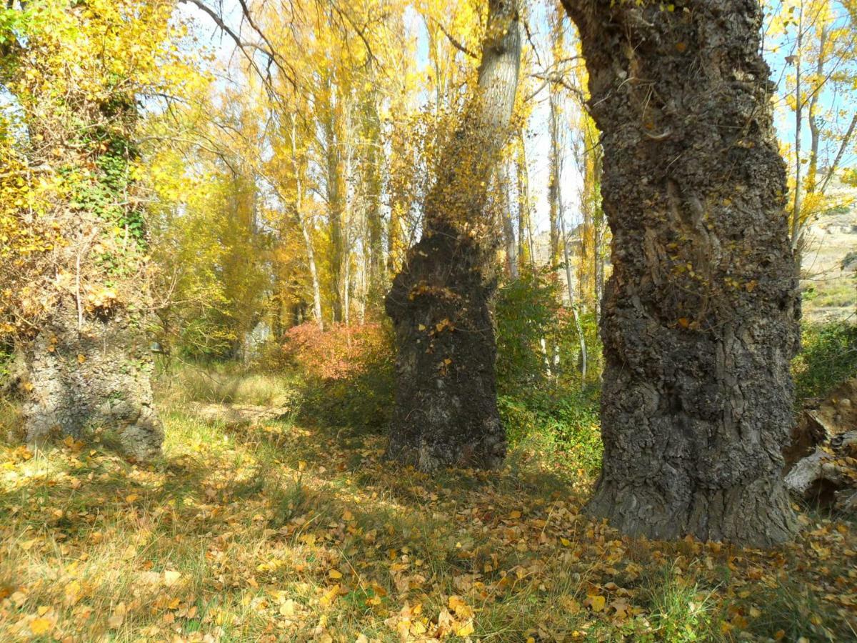 La Posada Del Arba El Frago Dış mekan fotoğraf
