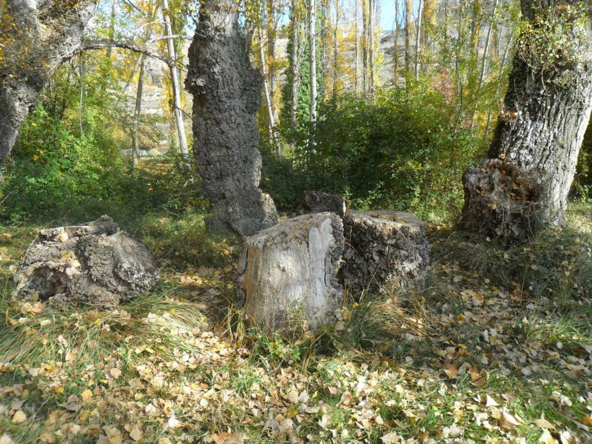 La Posada Del Arba El Frago Dış mekan fotoğraf